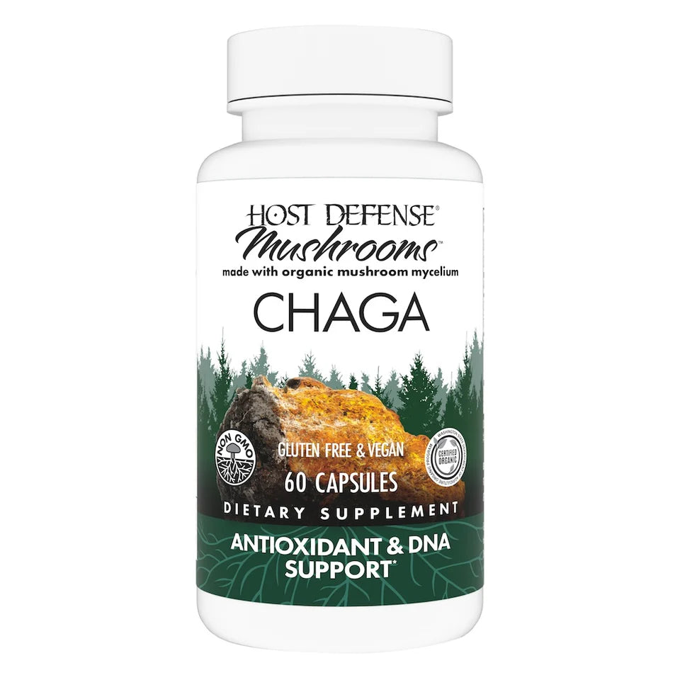 Chaga