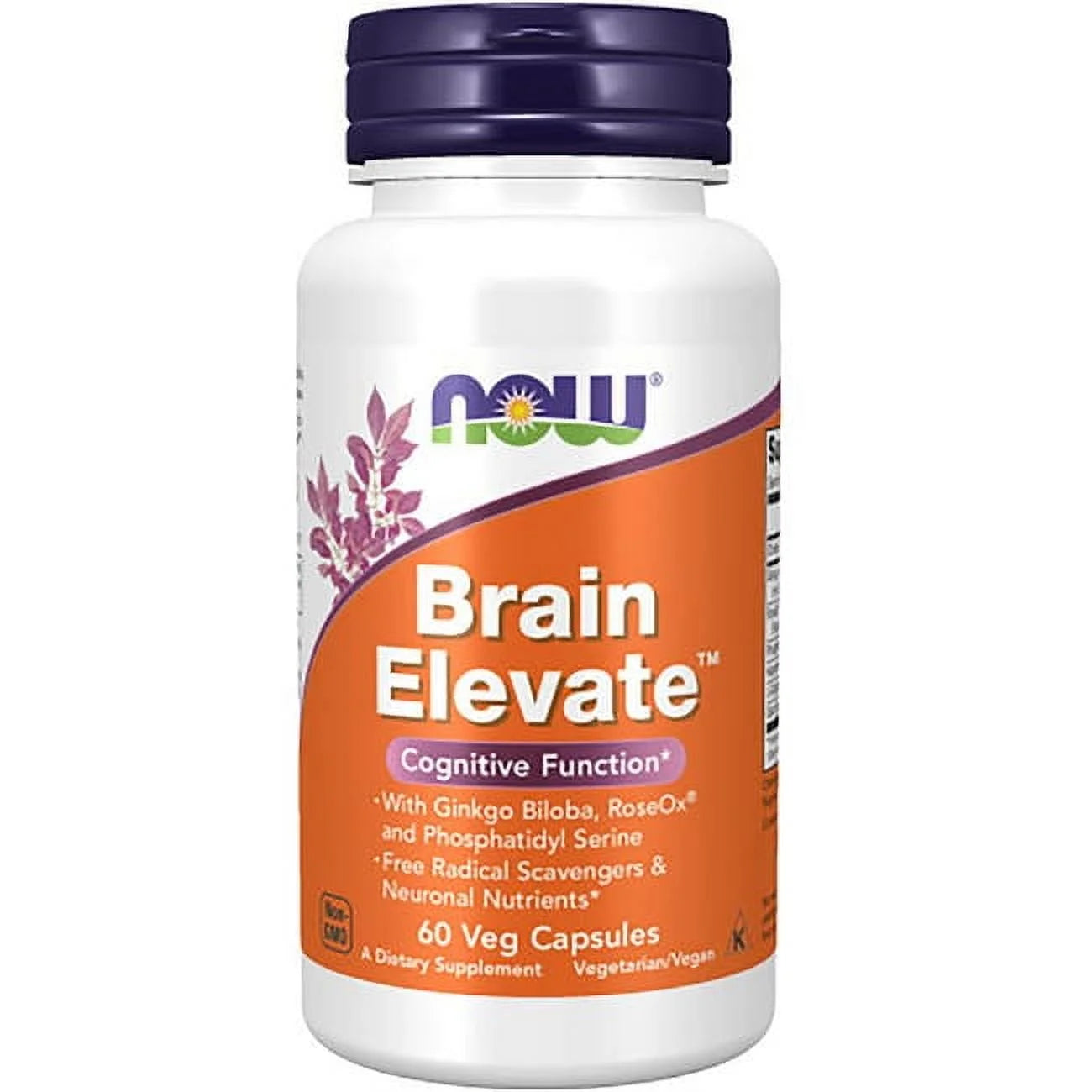 Brain Elevate