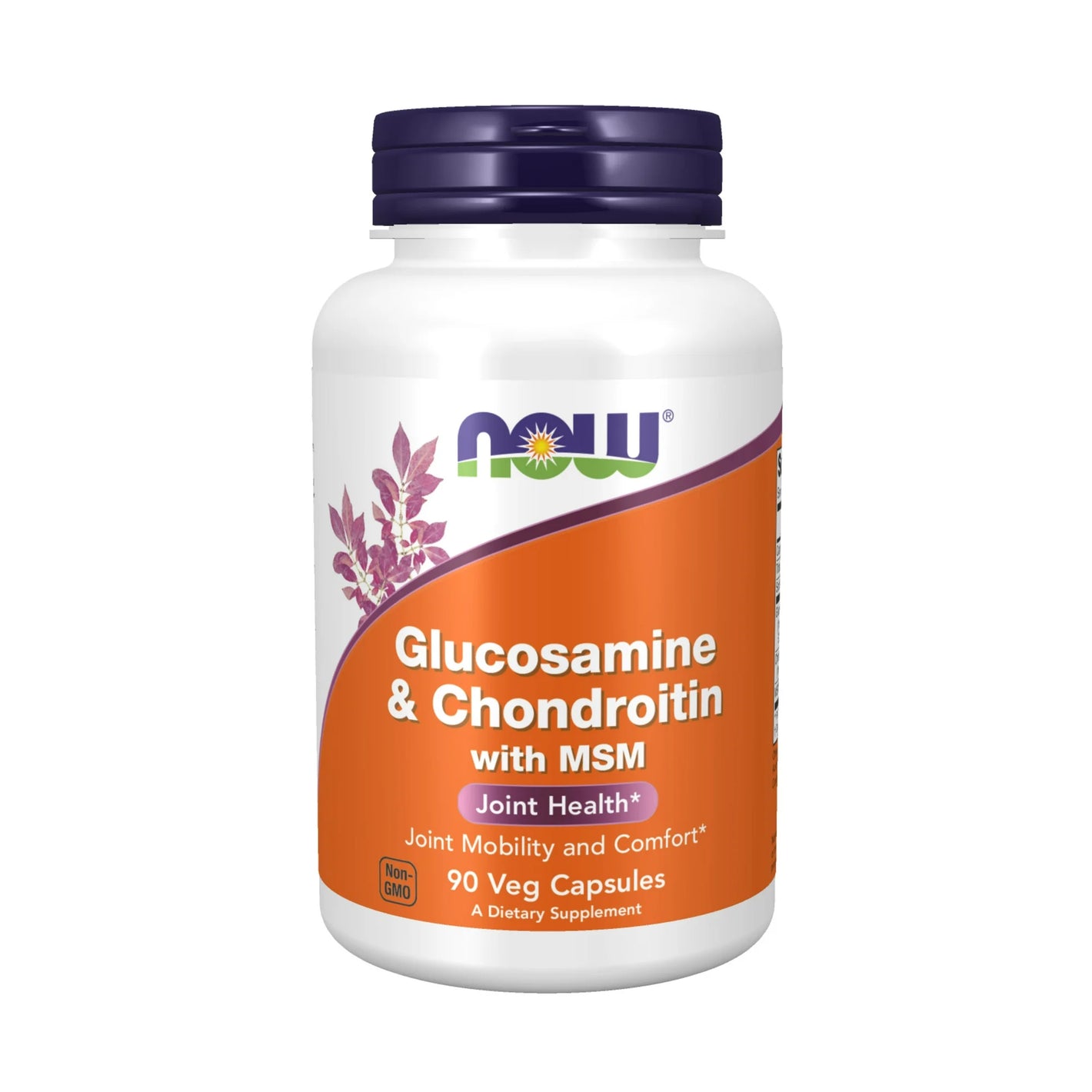 Glucosamine & Chondroitin with MSM