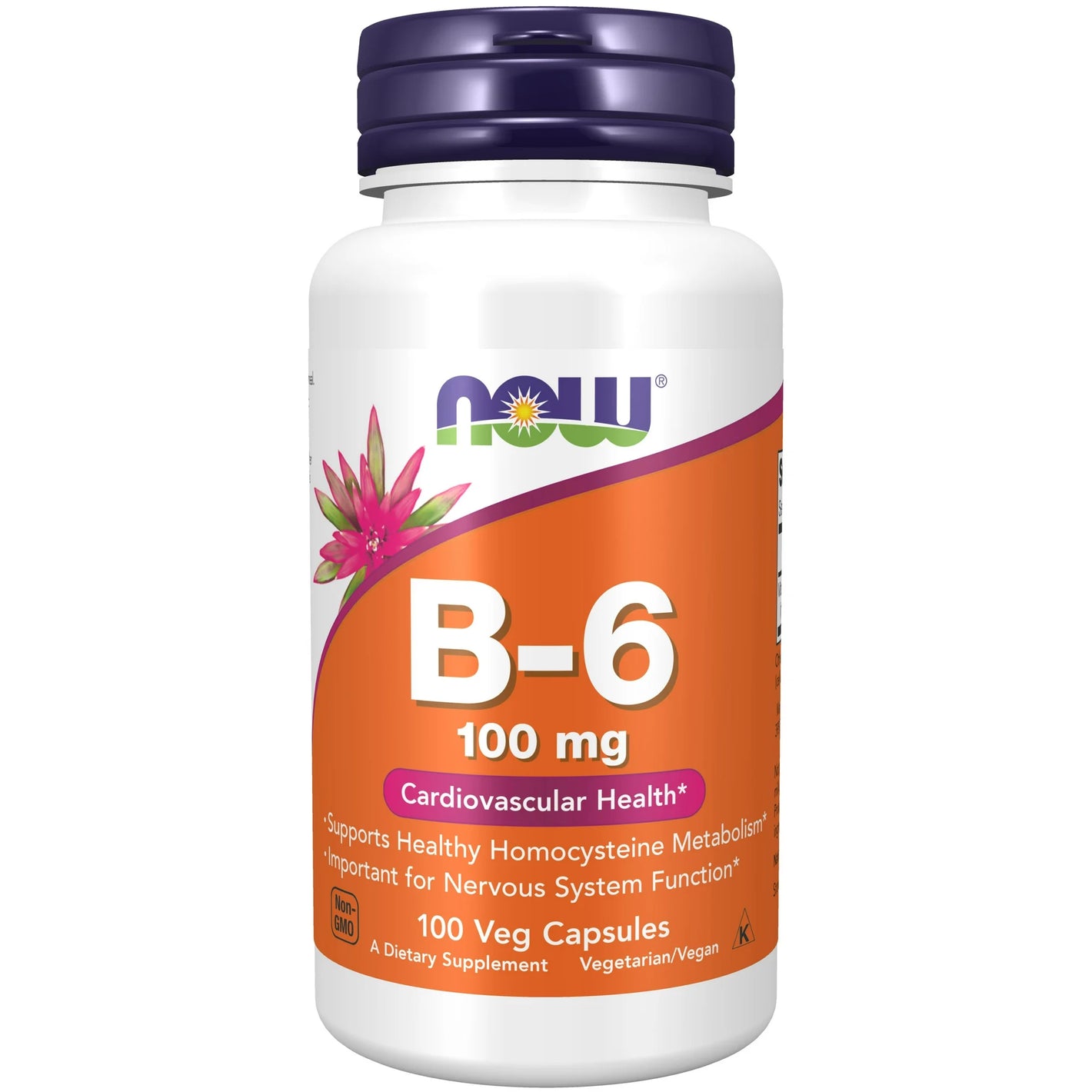 Vitamin B-6 (100mg)