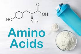 Amino Acids