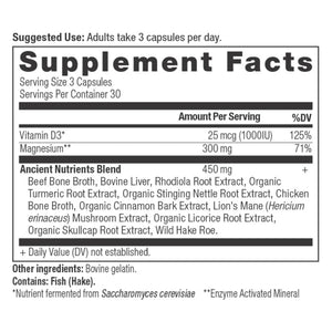 Ancient Nutrition Magnesium (90 Capsules)