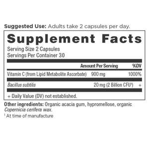 Ancient Nutrients Vitamin C + Probiotics