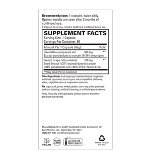 Blood Pressure Health