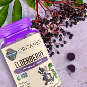 Garden of Life Organics Elderberry Immune Gummy