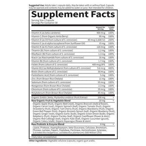 Garden of Life Vitamin Code RAW ONE for Men